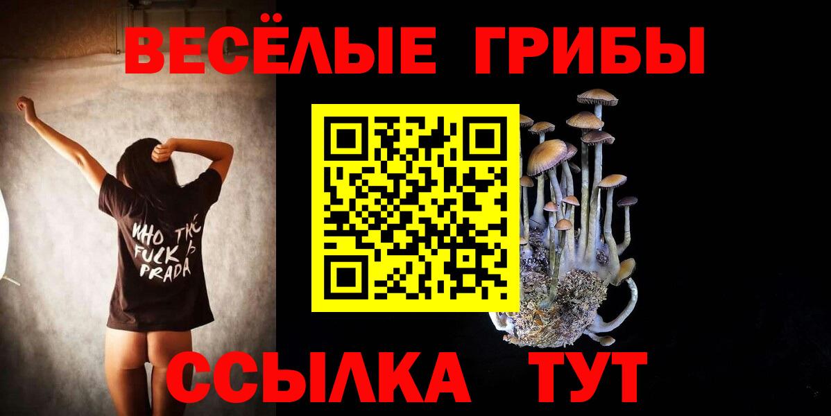 Мичуринск  Галлюциногенные грибы Magic Shrooms  Вход с VPN 