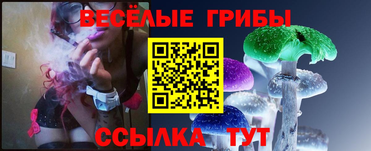 Псилоцибиновые грибы Psilocybine cubensis Мичуринск